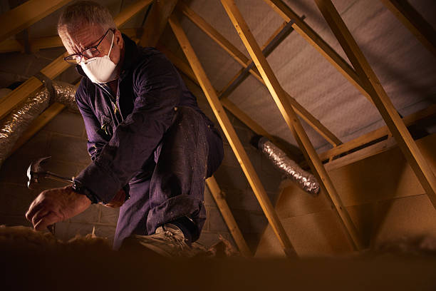 Types of Insulation We Offer in Imperial, PA